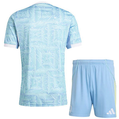 Juventus 25/26 Jersey
